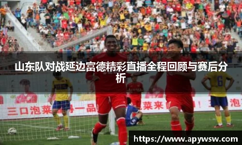 山东队对战延边富德精彩直播全程回顾与赛后分析